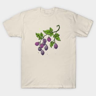 blackberries on twig T-Shirt